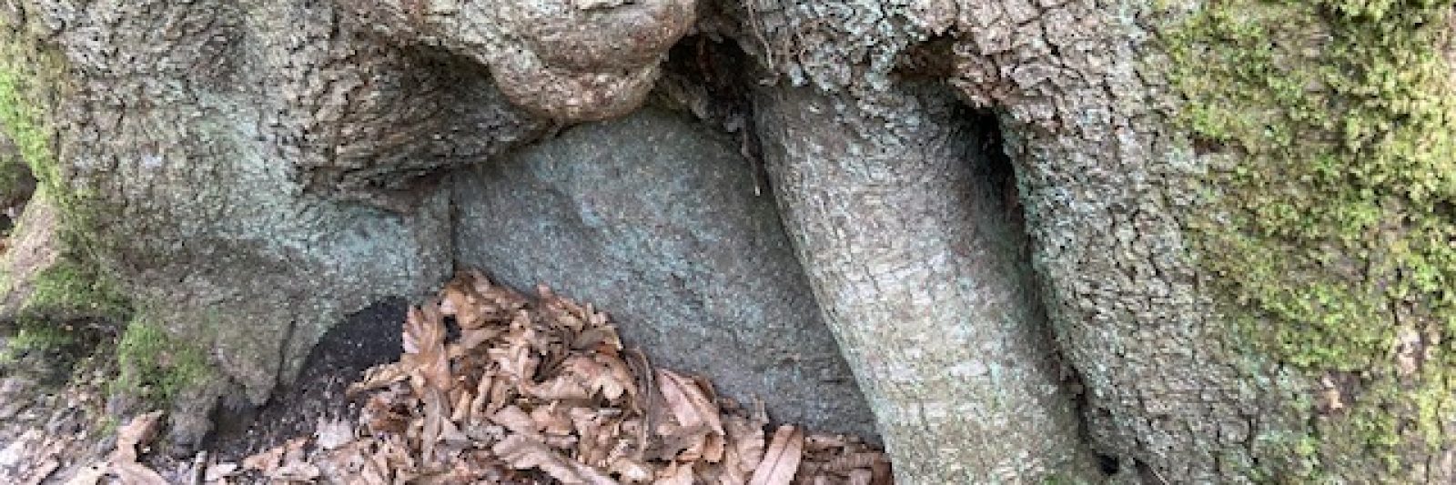 Chaos de Traouieros à Perros Guirec près de notre gite à Pontrieux